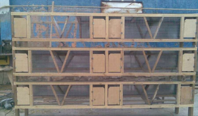 Многоярусные клетки кроликам из подручных материалов: 9 ФОТО